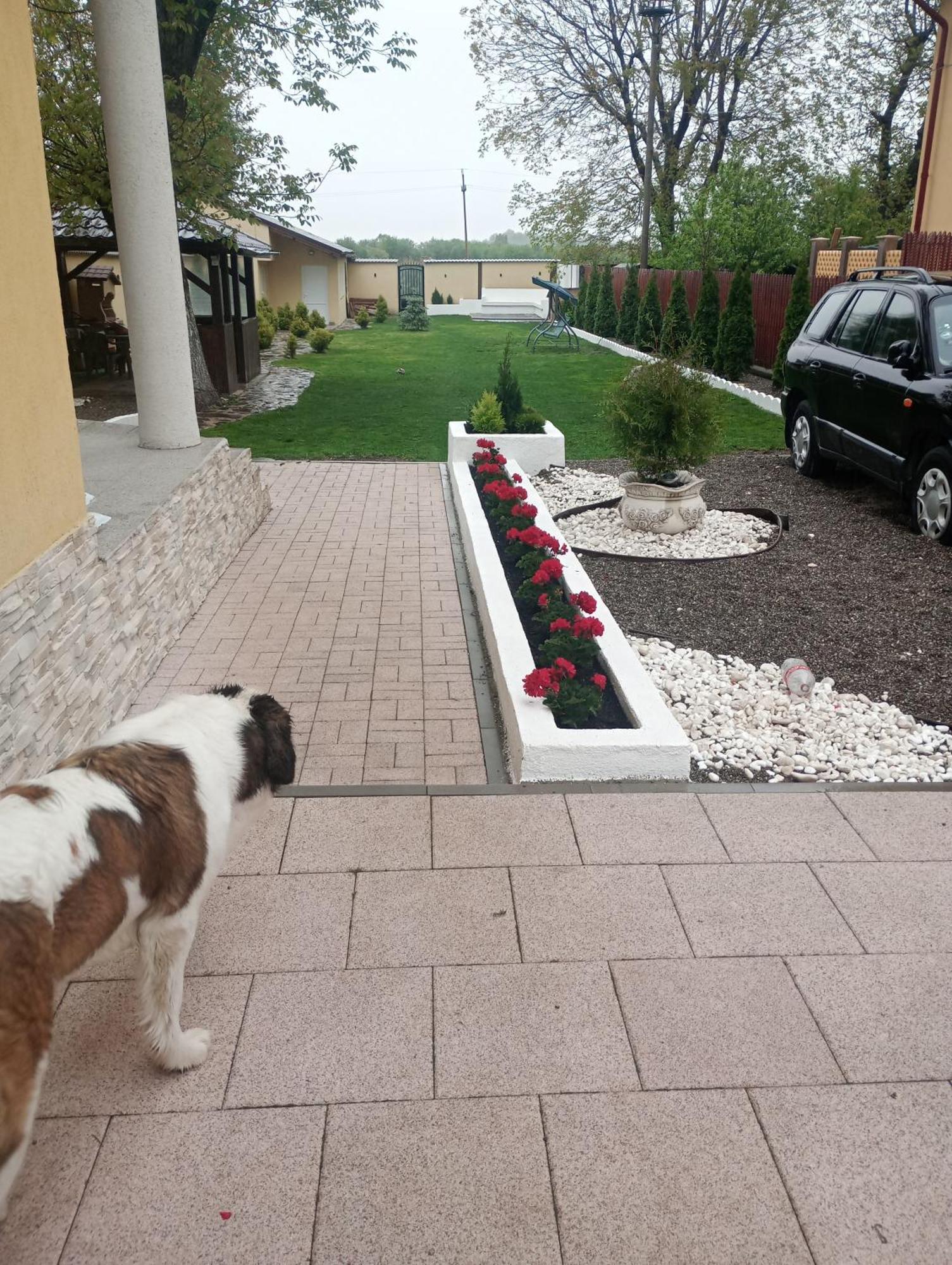 Izabella Guest House Сачеле Екстер'єр фото
