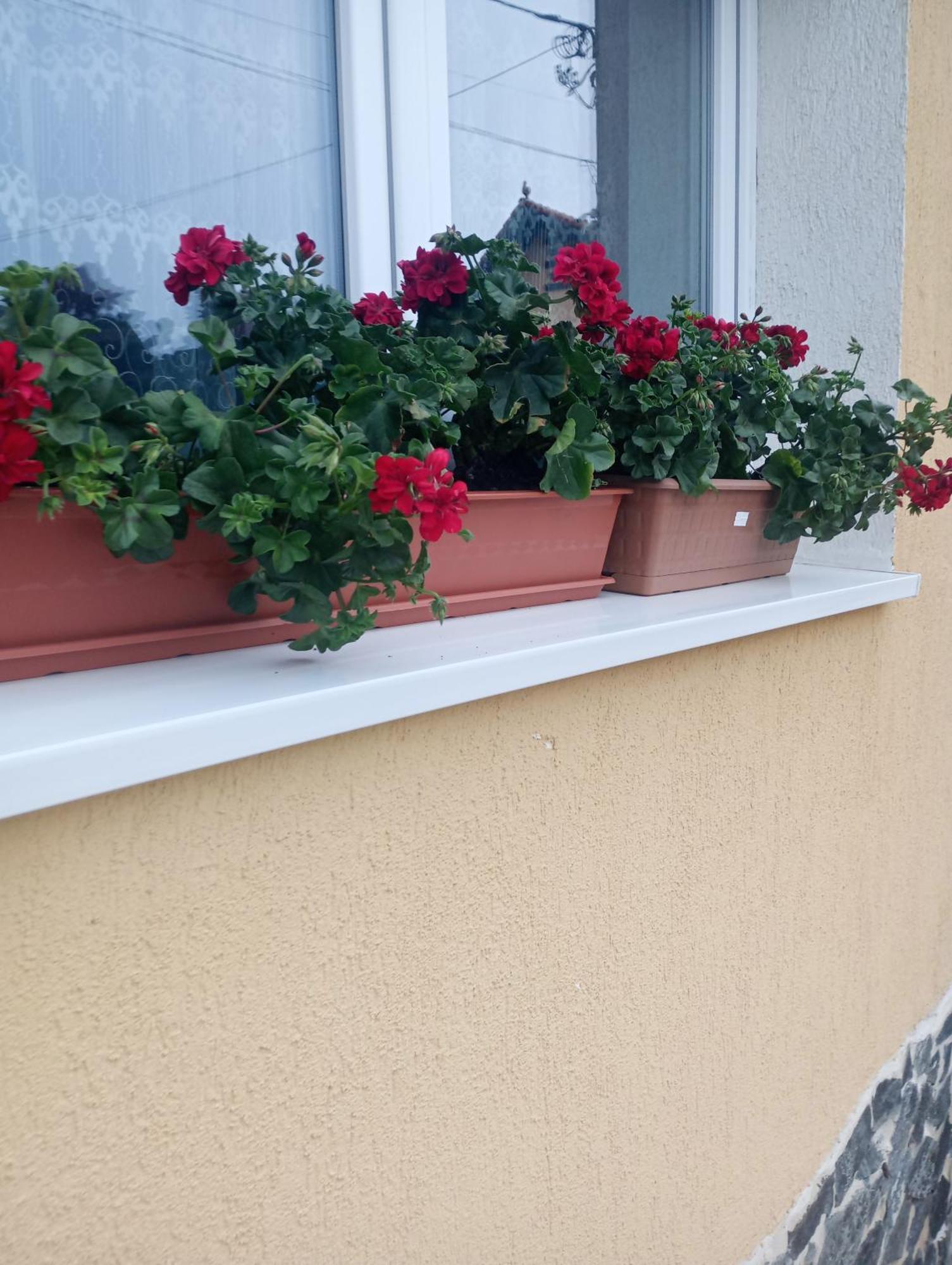 Izabella Guest House Сачеле Екстер'єр фото