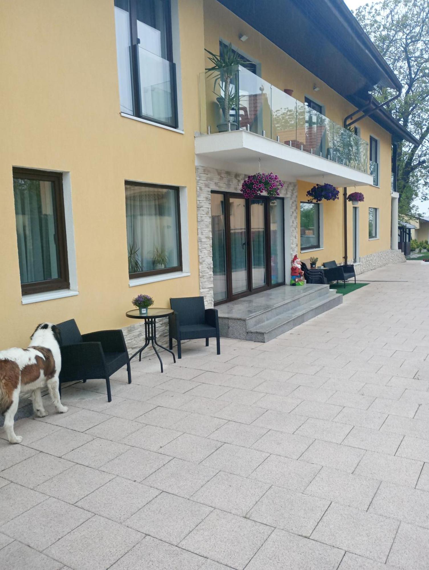 Izabella Guest House Сачеле Екстер'єр фото