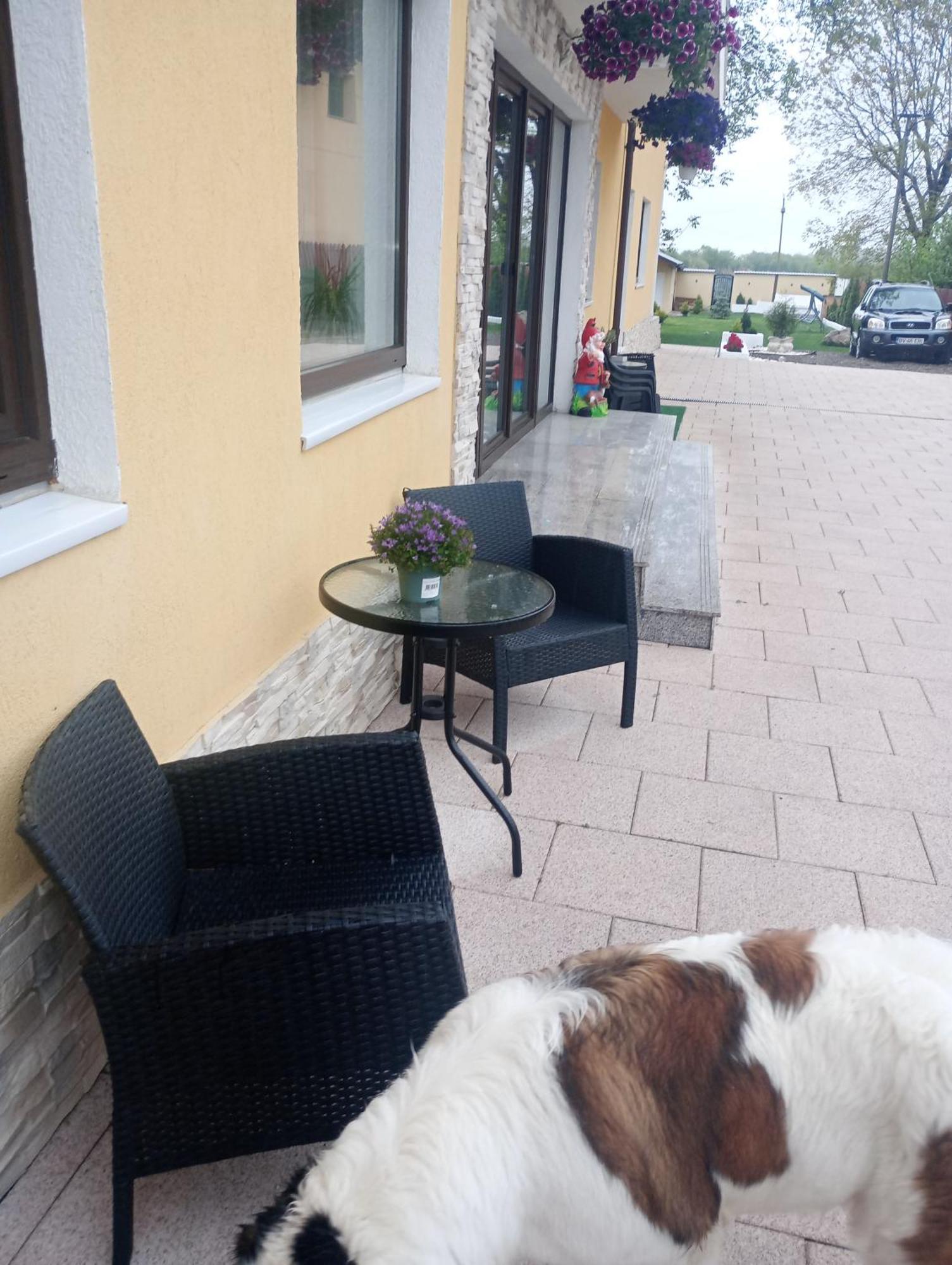 Izabella Guest House Сачеле Екстер'єр фото